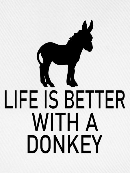 Donkey Esel