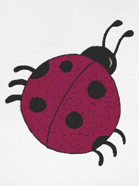 marienkäfer brombeere