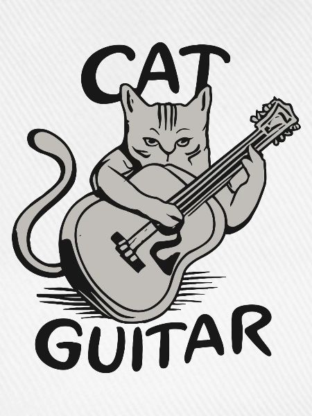 Gitarrist