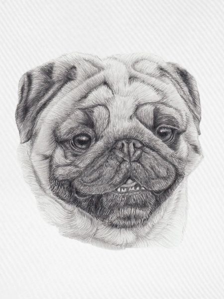 Mops Mops 2