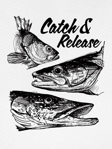 Catch & Release