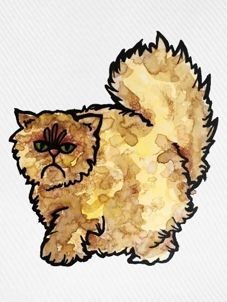 Grumpy Fluffy Cat Aquarell