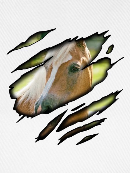 Haflinger in mir