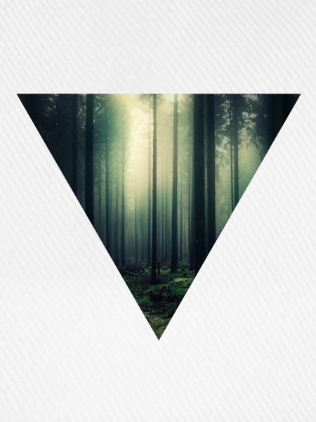 Leuchtender Wald im Nebel