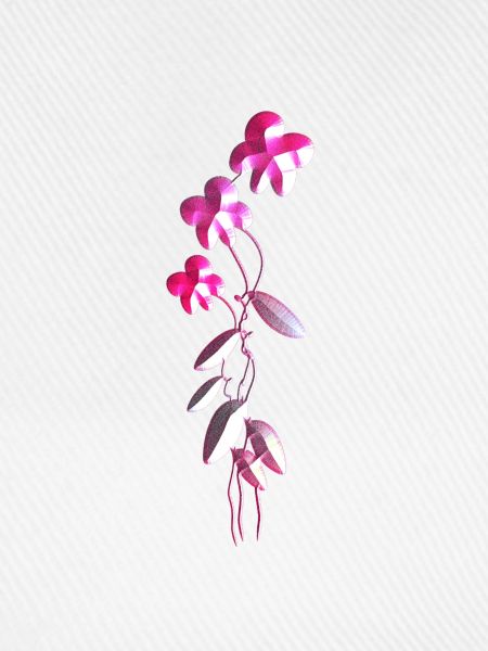 pinke blumen symbol glitzer pflanzen