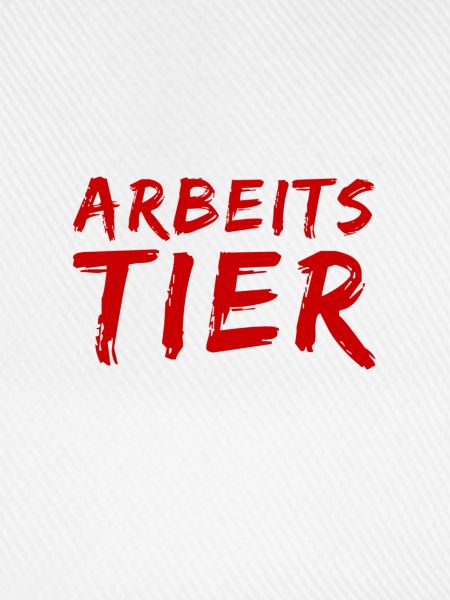ich arbeite viel