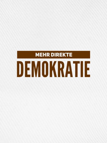 direkte Demokratie