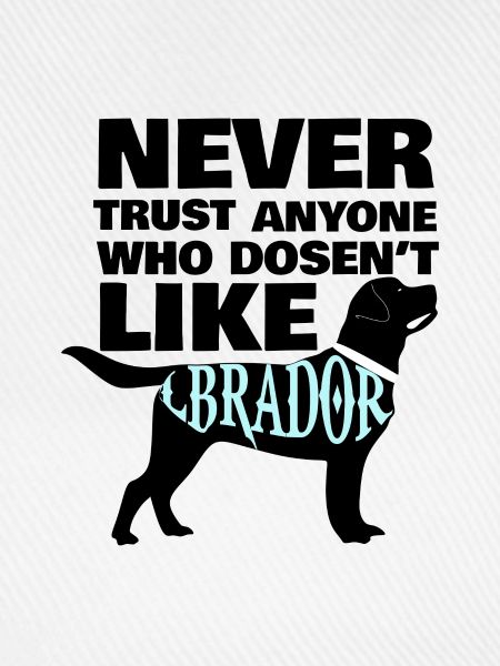 Labrador
