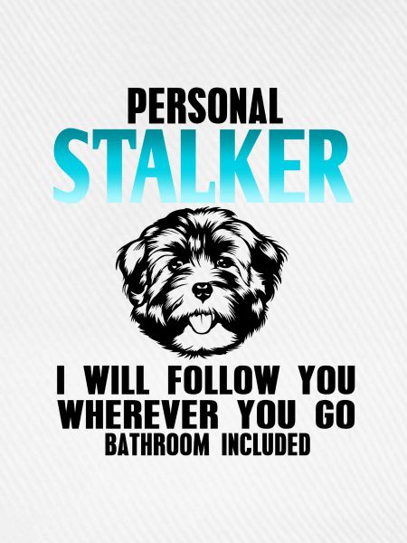 Havanese
