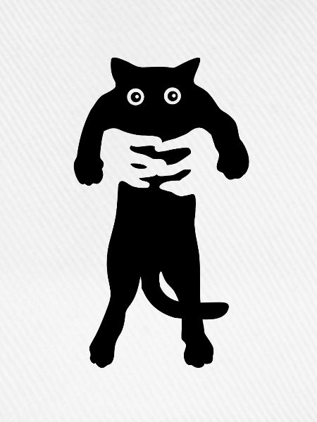 schwarze Katze