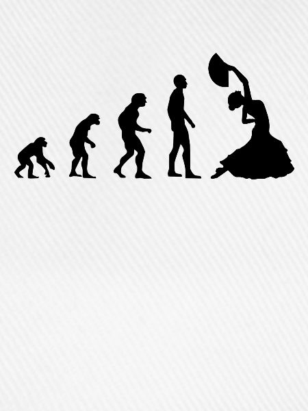 Flamenco Evolution / Flamenco Tanz / Kleid