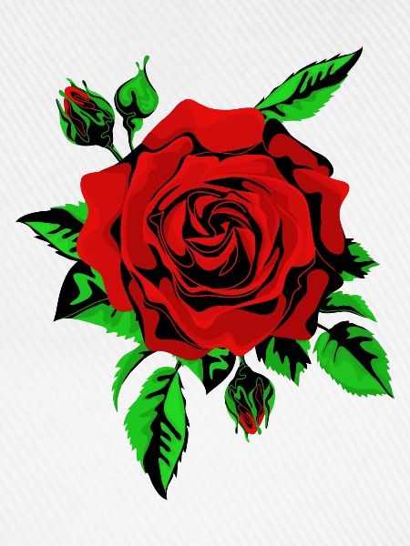 Rote Rose