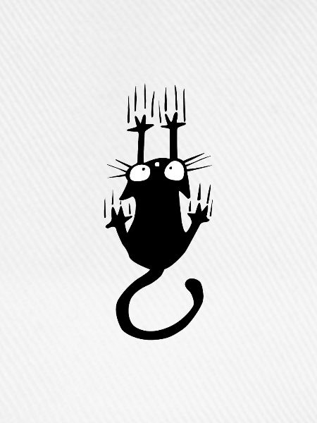 Cat Falling