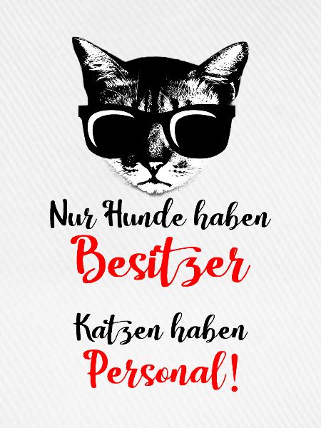 Katze, Katzen