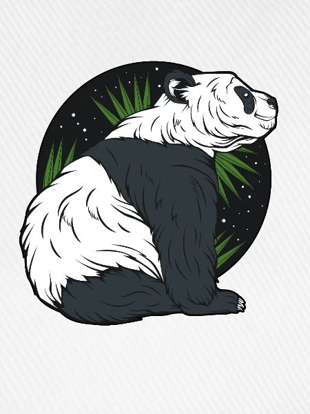 Pandabär