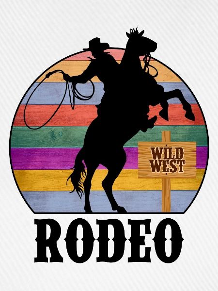 Rodeo Wilder Westen