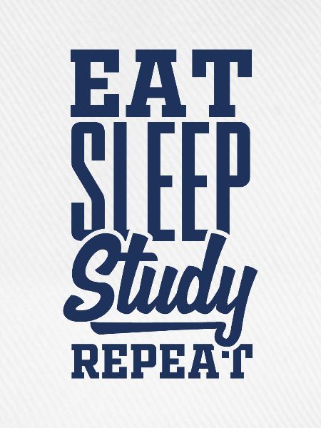 Studieren