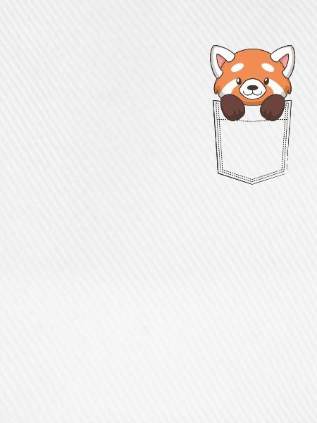 Panda in der Tasche