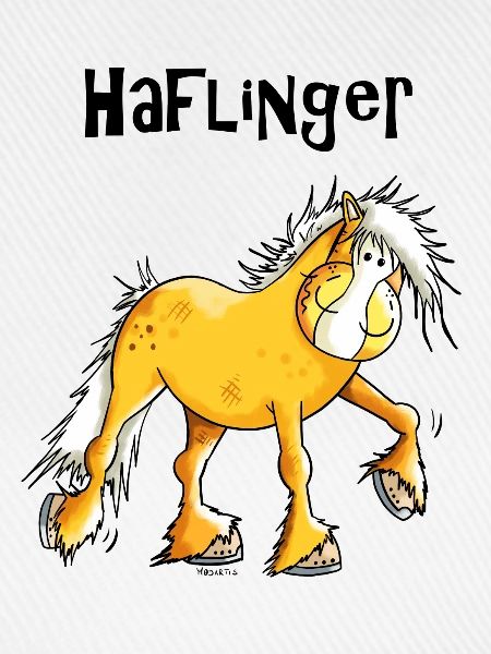 Hazel der Haflinger
