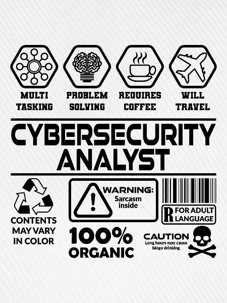 Cybersecurity Analyst