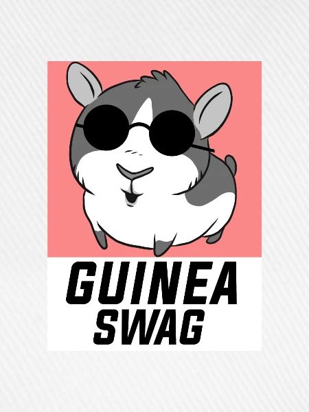 Guinea Pig