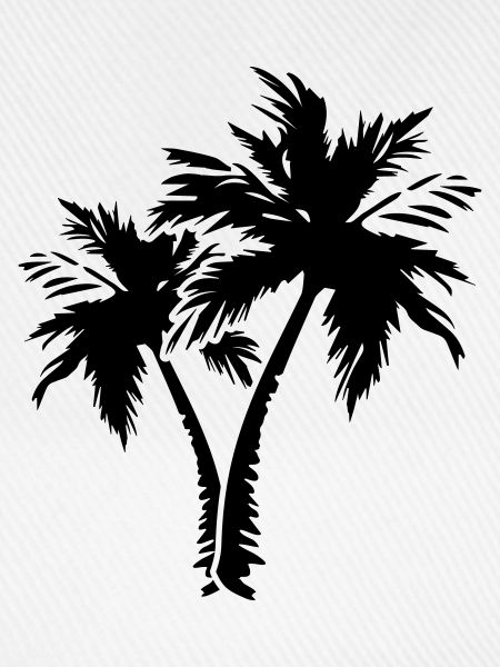 palm trees
