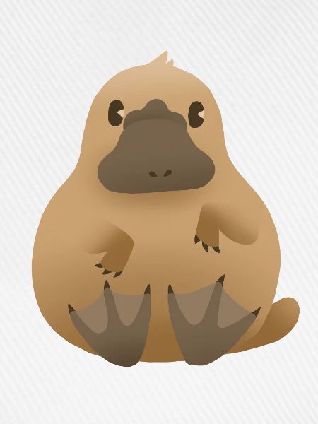 Schnabeltier (Platypus)
