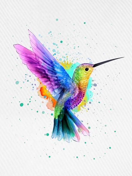 Kolibri