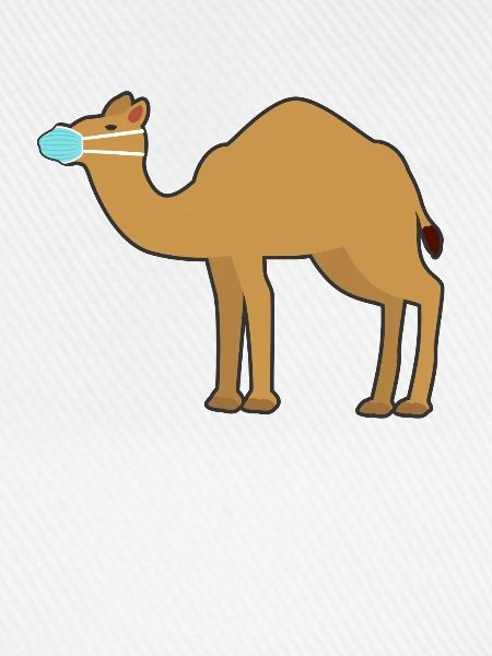 Kamel