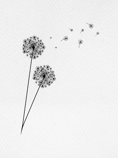 Dandelion