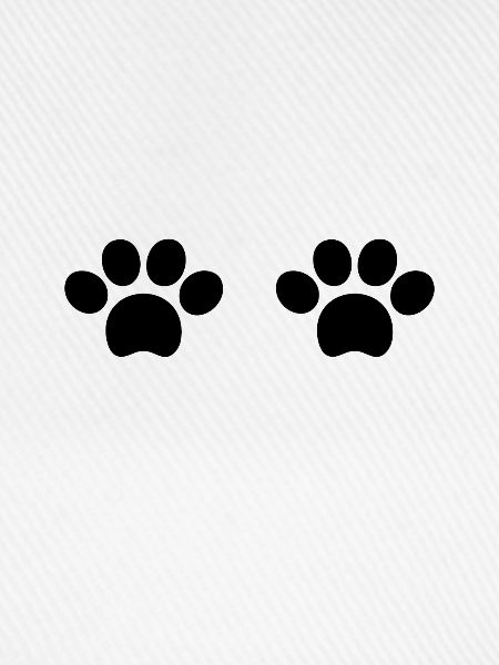 Katzenpfoten