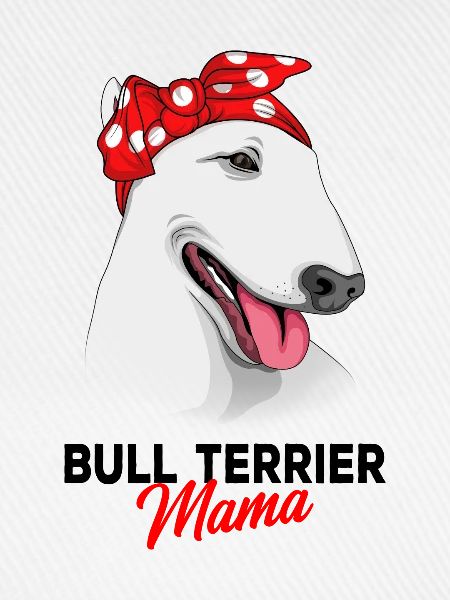 Bullterrier