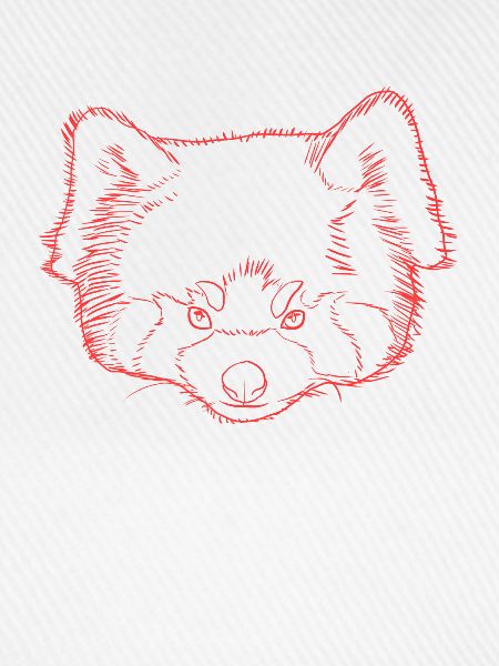 Roter Panda