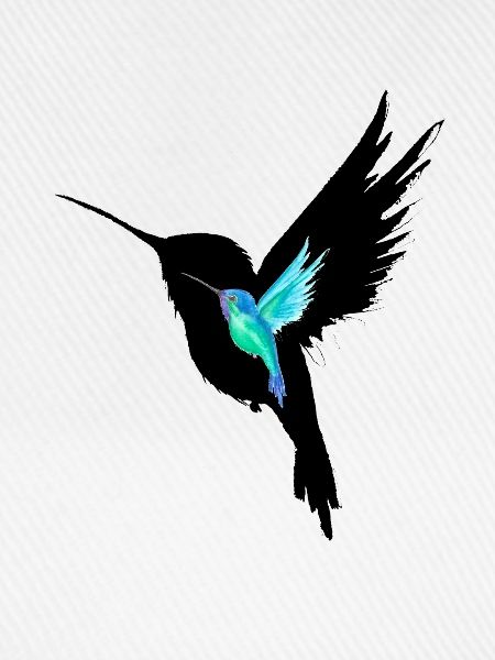 Smaragd-Kolibri