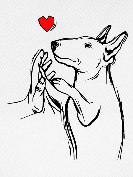 Bullterrier