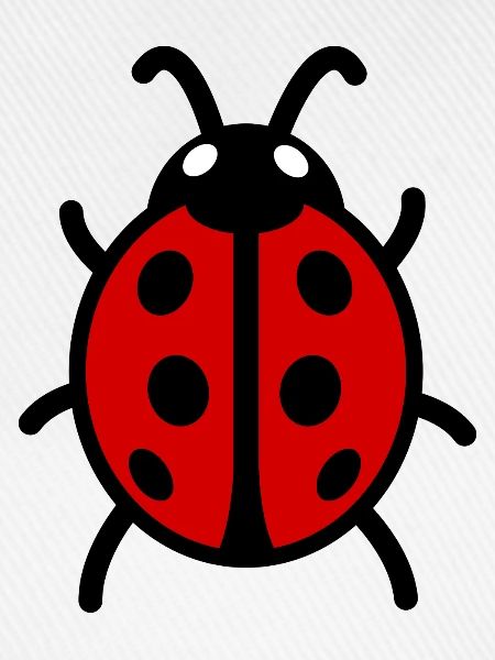 Marienkäfer