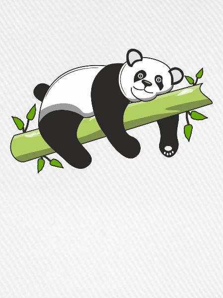 PANDA BÄR