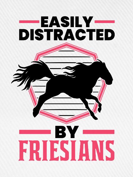 Easily distracted by Friesians Friesenpferd
