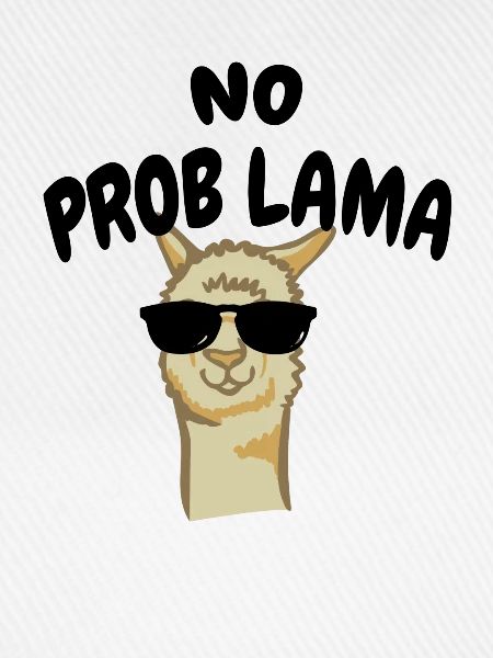 No Problama