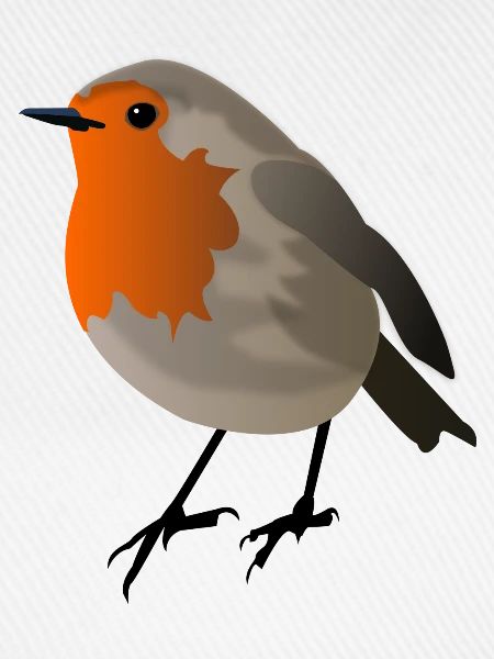 Rotkehlchen
