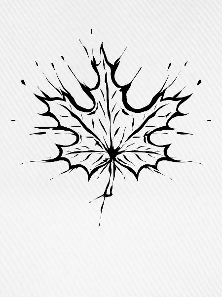 Ahorn Blatt