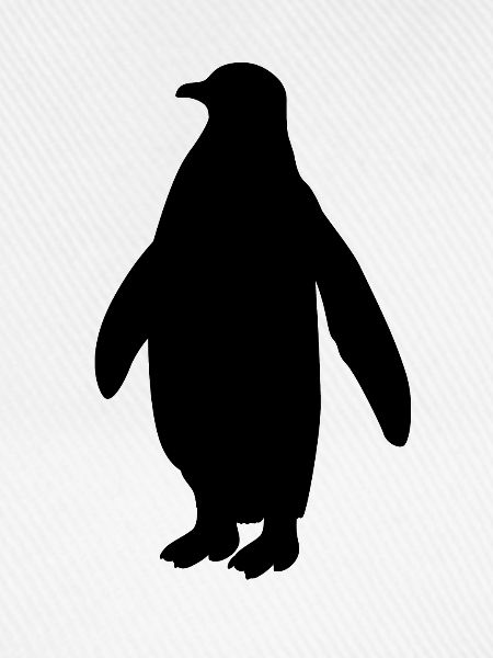 Pinguin Seevogel Meeresvogel Vogel Geschenk