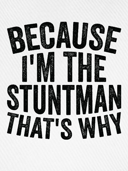 Weil Ich Stuntman Bin