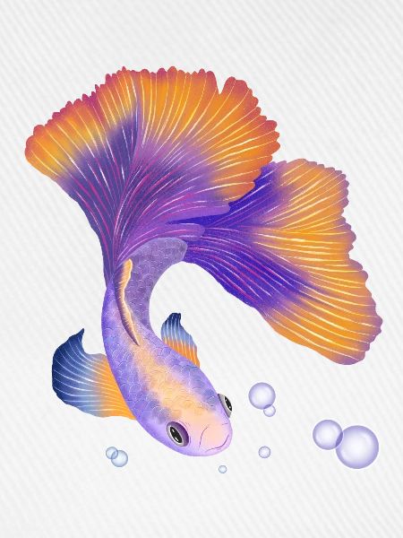 Fisch. Elegant unter Wasser