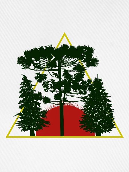 Baum