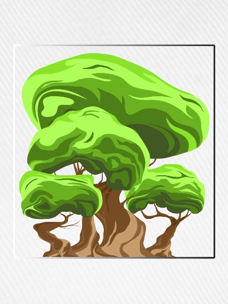 Baum