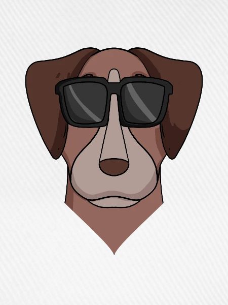 Pointer Hund Hunderasse