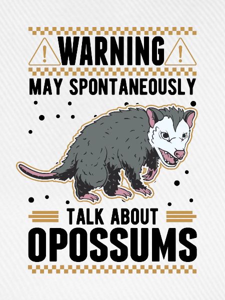 Opossum Geschenk Possum Beutelratte