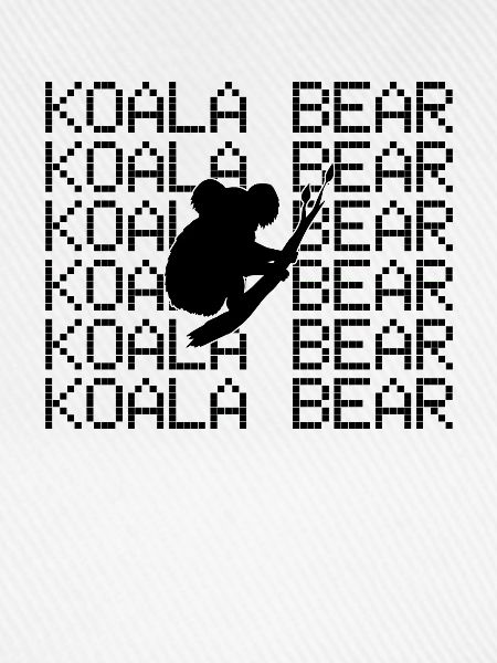 Koala Bär