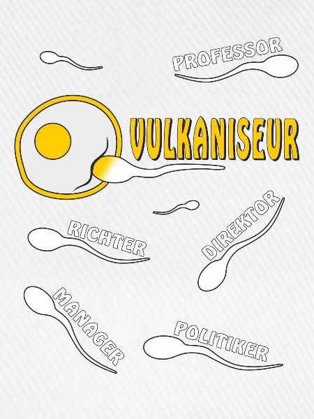 VULKANISEUR